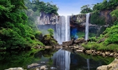 Great efforts to preserve and sustainably develop biosphere reserves